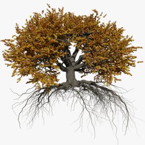 3D oak autumn 6 tree