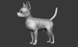 dog chihuahua 3D model
