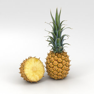 pineapple 3D model