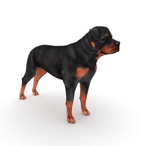 3D model rottweiler dog