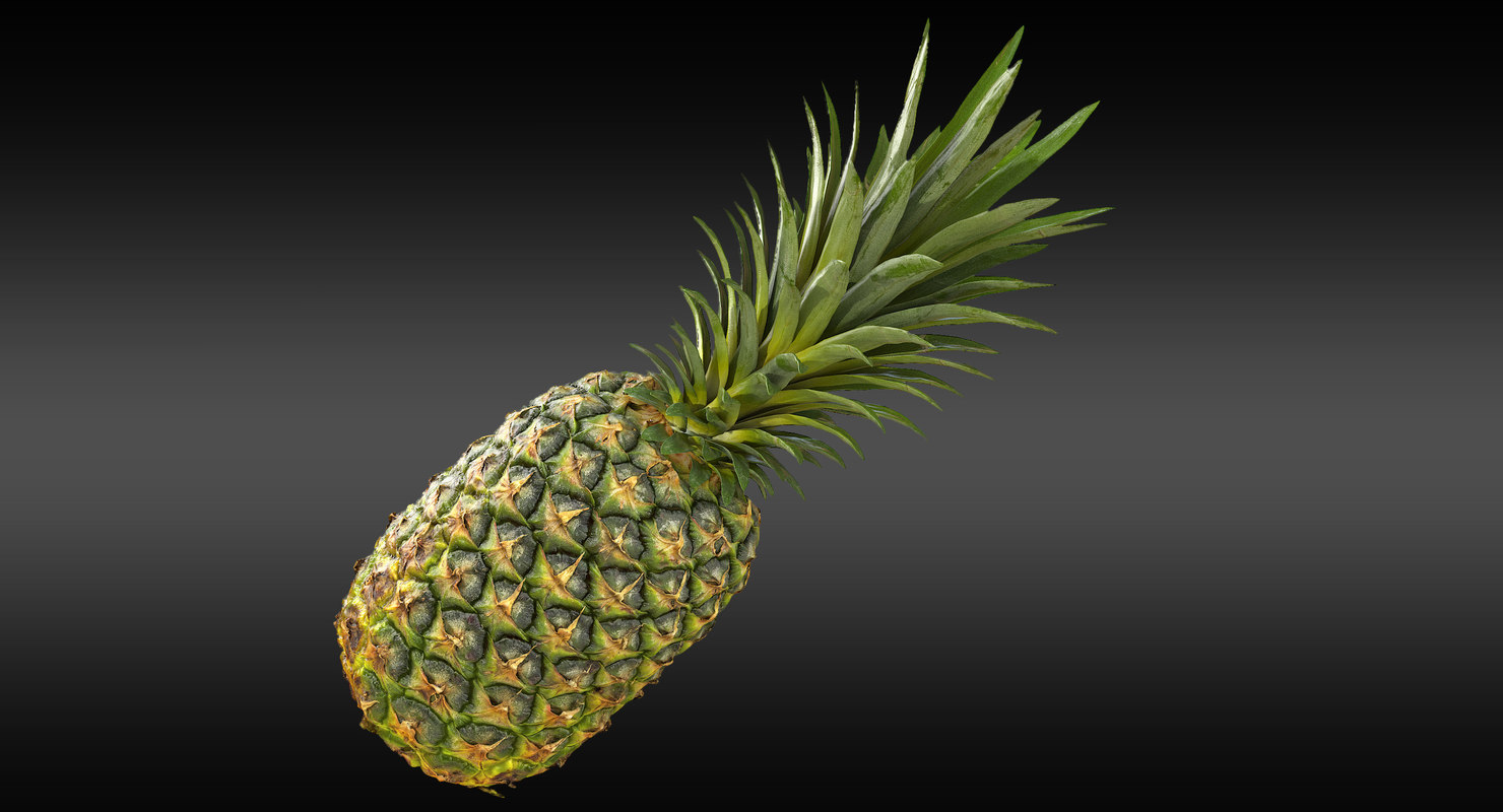 现实的整个菠萝3d模型