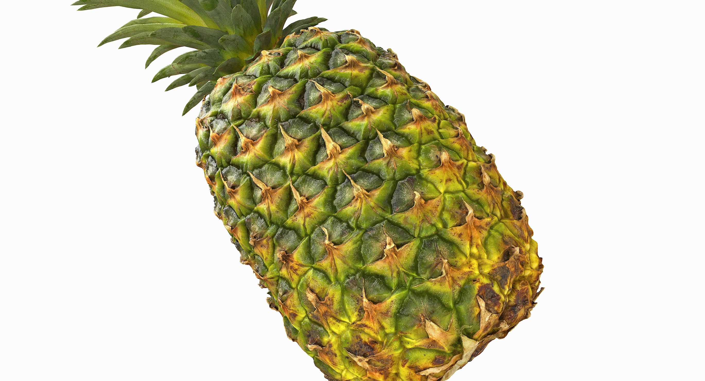 现实的整个菠萝3d模型