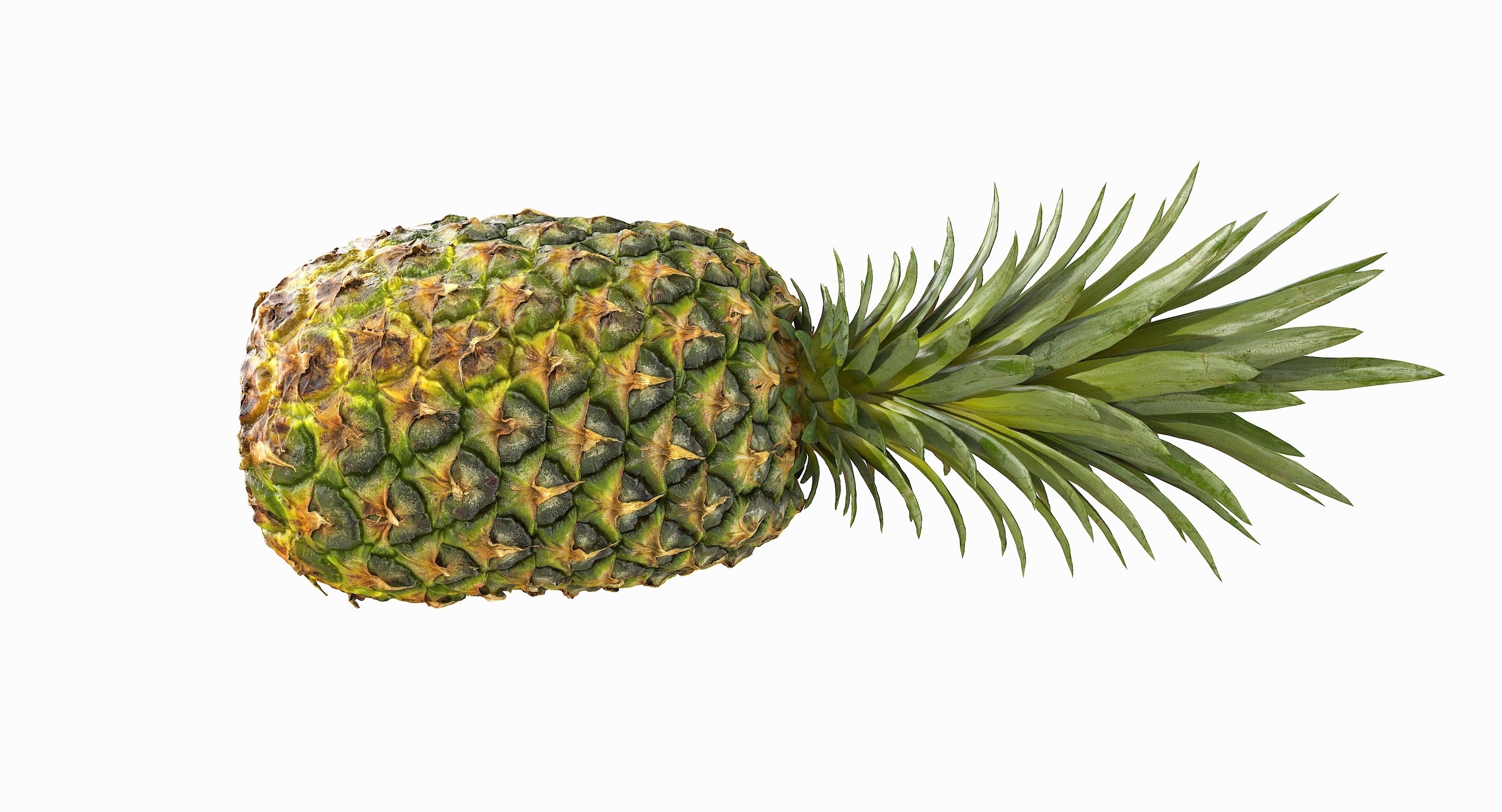 现实的整个菠萝3d模型