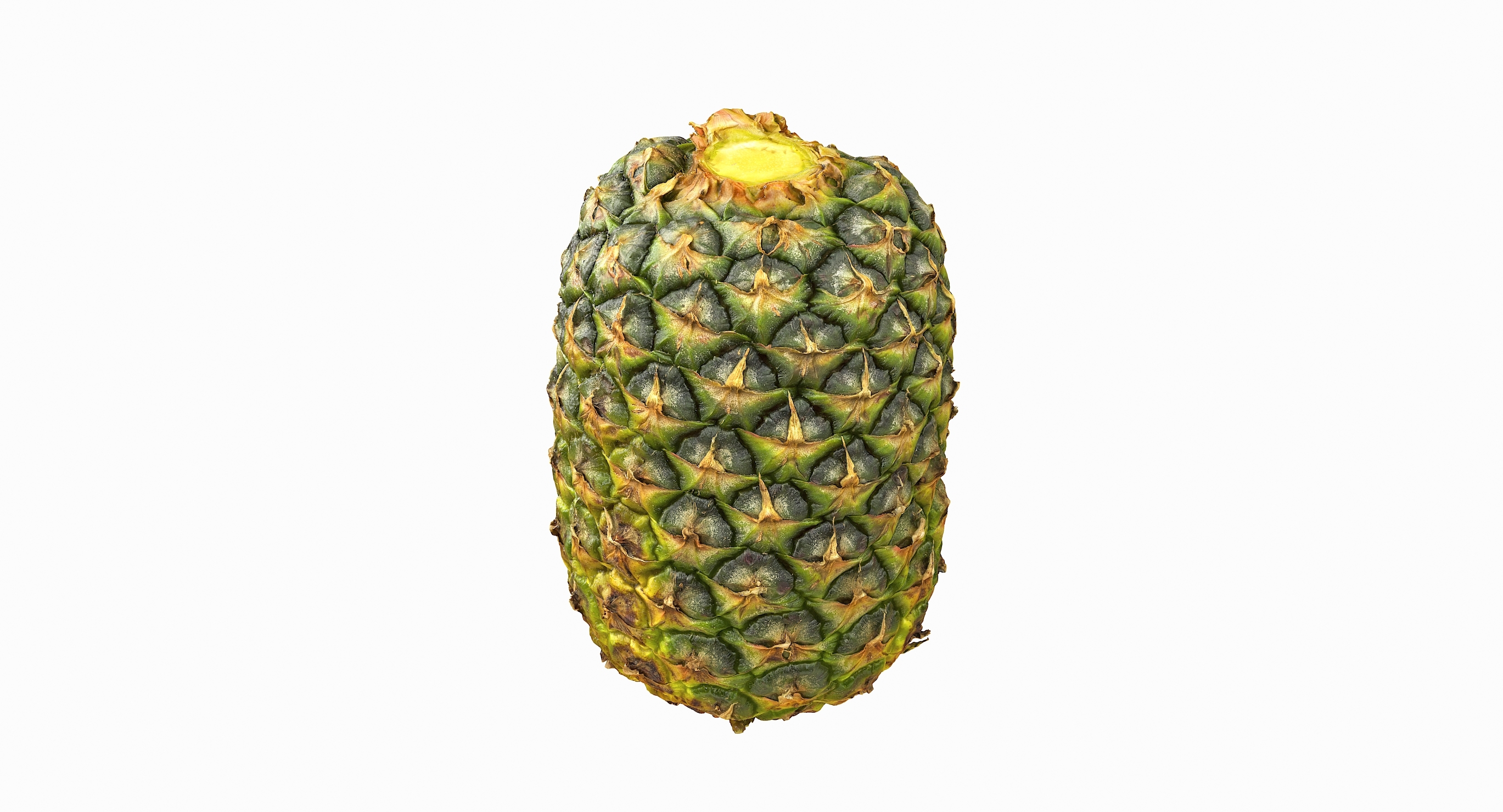 现实的整个菠萝3d模型