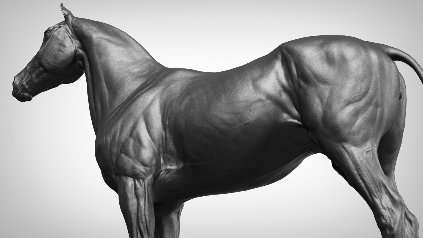download zbrush from filehorse