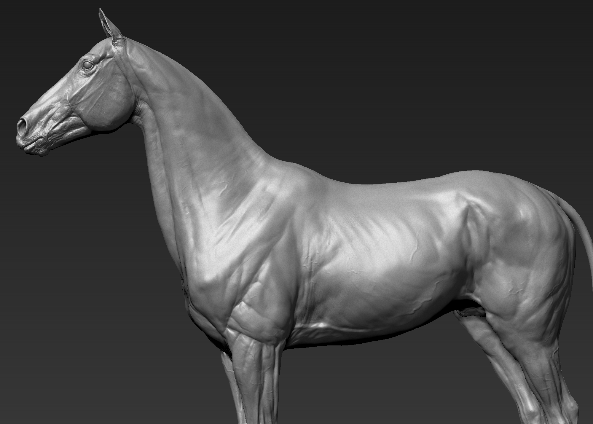 modeling a horse in zbrush