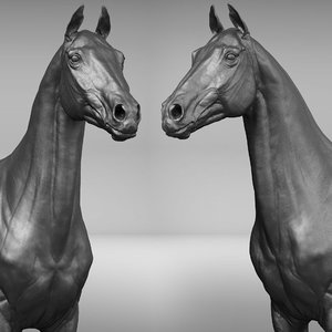 horse ztl zbrush 3D model