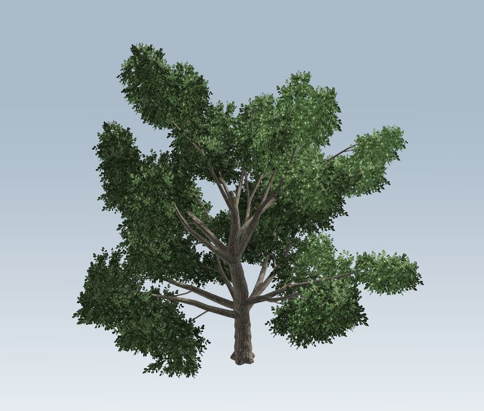 Einfacher Baum 3D-Modell - TurboSquid 1381291