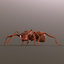 ant animations model
