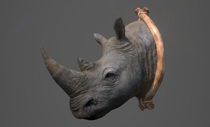 3D rhinoceros head