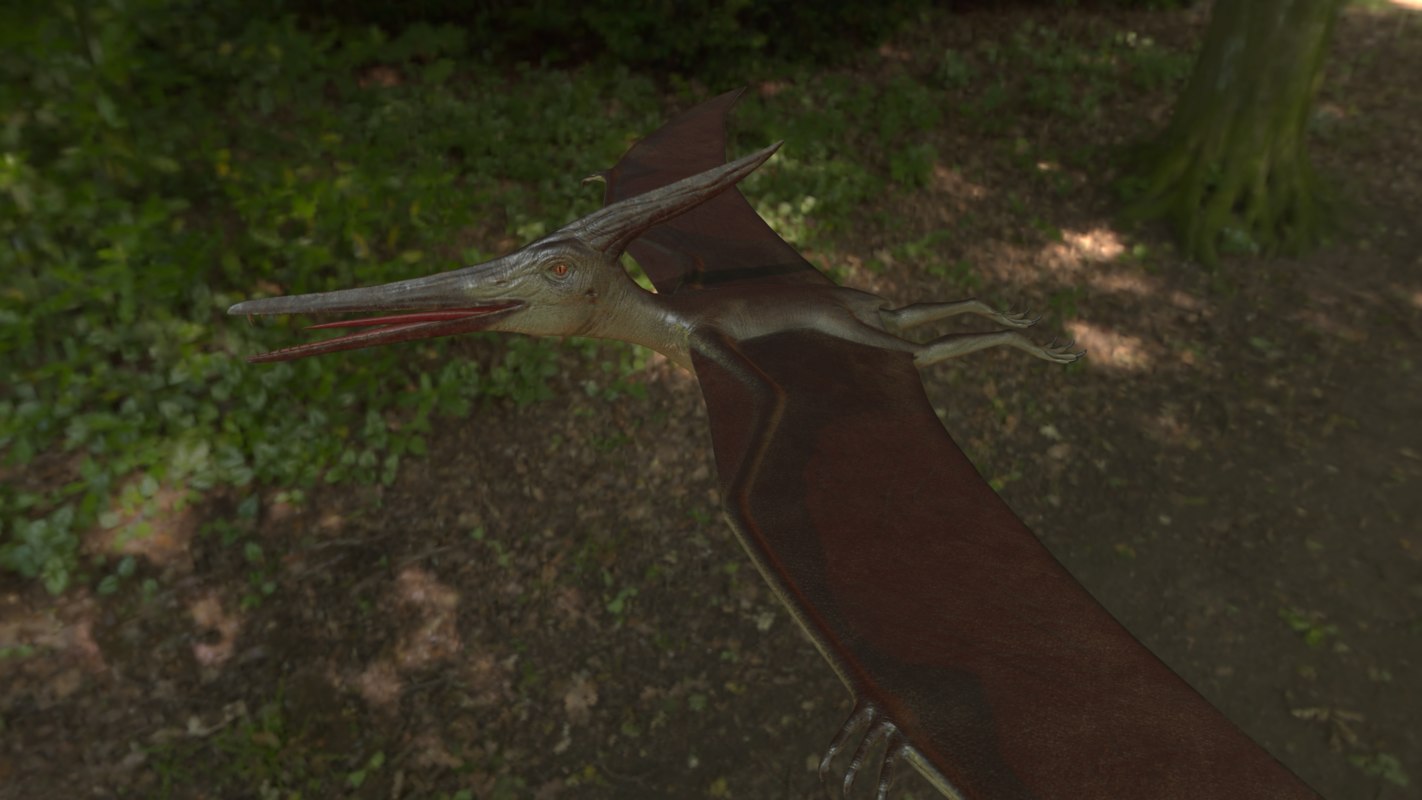 pterodactyl 3d google