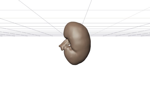 3D reconstruction real humans liver model
