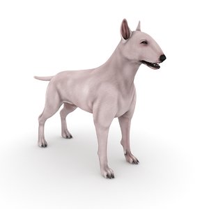3D model bull terrier dog