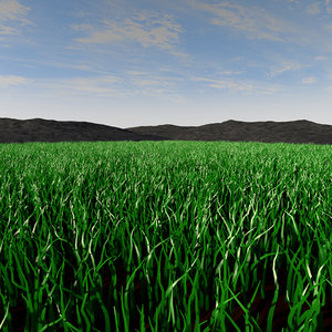 concepts meadow landscape 3D