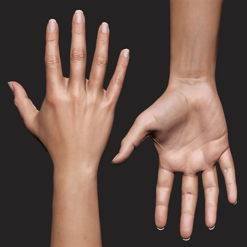 Realistic female arm hand 3D model - TurboSquid 1312491