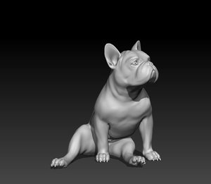 french bulldog 3D model
