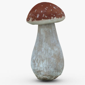 boletus mushroom fungus 3D model