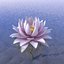 3D model blossom water lily