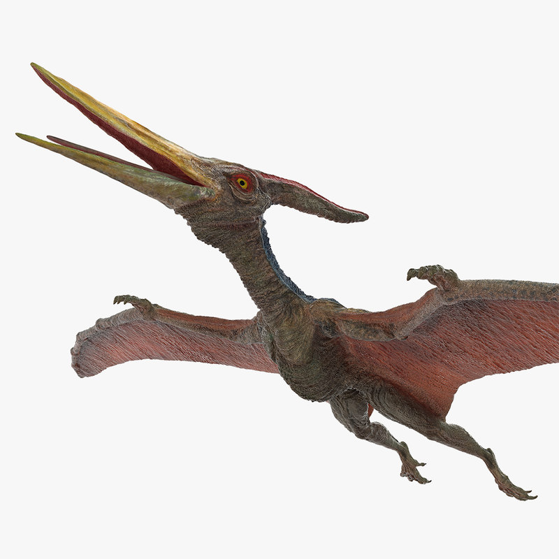 pteranodon 3d