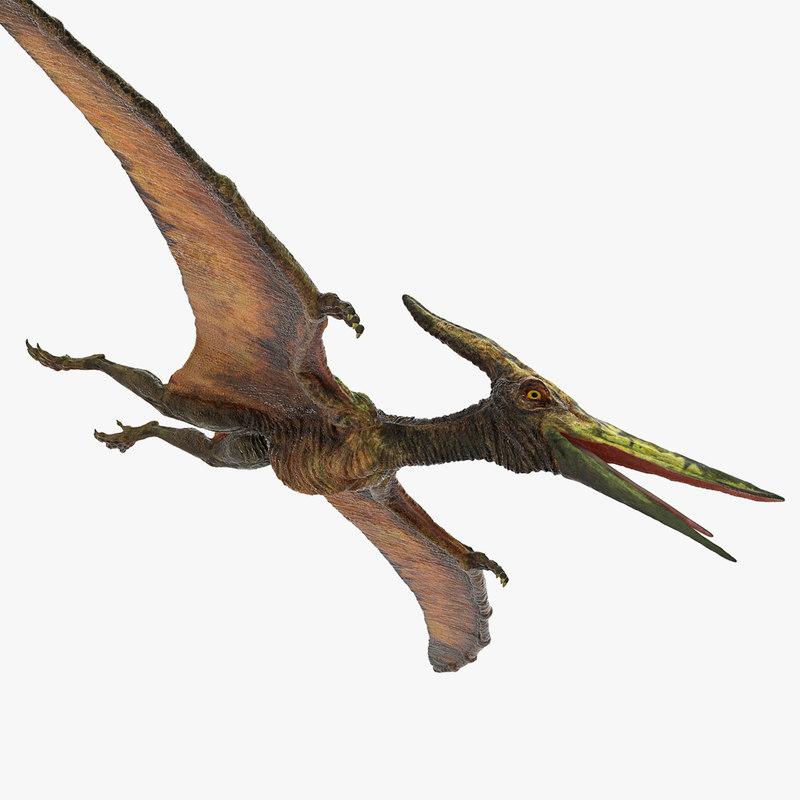 pteranodon 3d