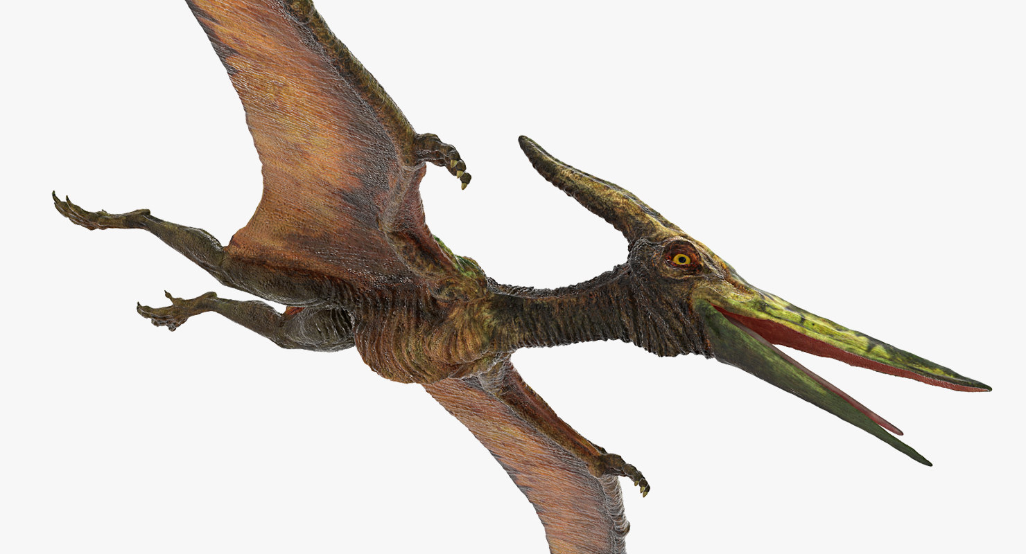 flying reptiles dinosaurs