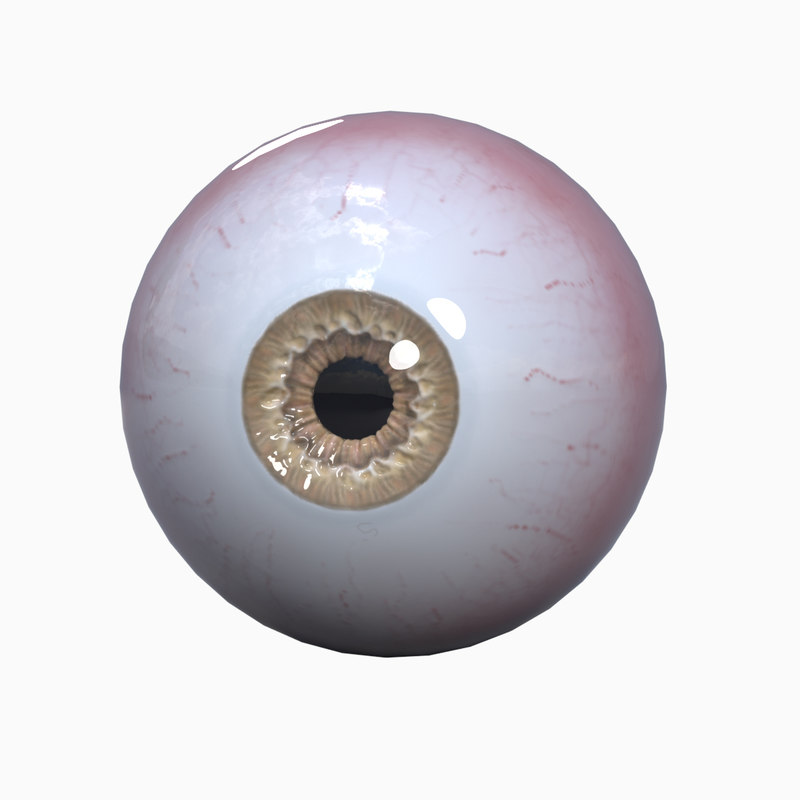 3D realistic human eye ball model - TurboSquid 1382798