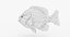 fish bluegill sunfish 3D model