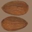 nuts large 3D