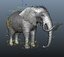 elephant rig 3D