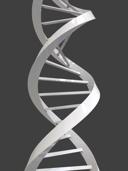 dna triangular