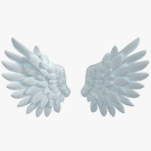 cartoon angel wings model
