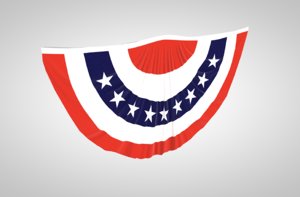 3D bunting political usa