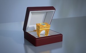3D ring model