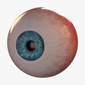 3D photorealistic human eye eyeball iris model
