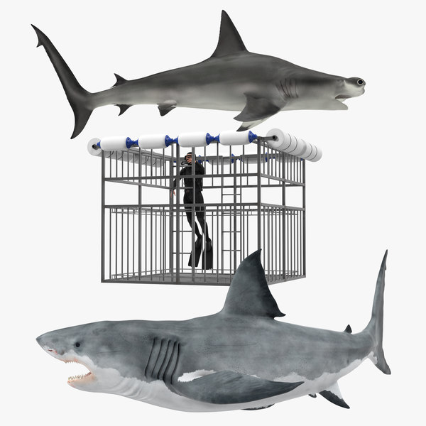 SharkCageDivingRigged3dsmodel000.jpg7EA2