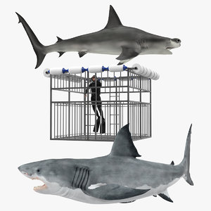 shark cage diving rigged 3D