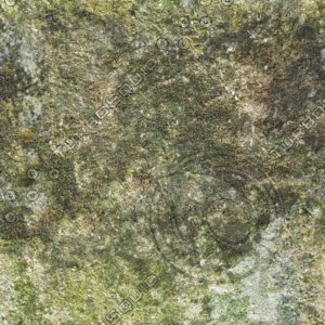 Moss_01