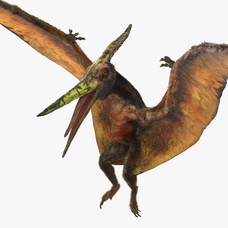 modelo 3d Pteranodon Flying Carnivorous Reptile Landing Pose con piel ...