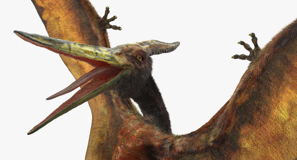 pteranodon flying
