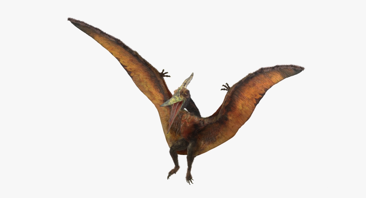 pteranodon flying