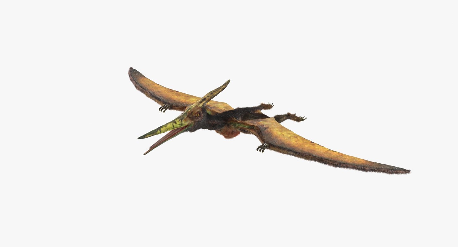 pteranodon flying