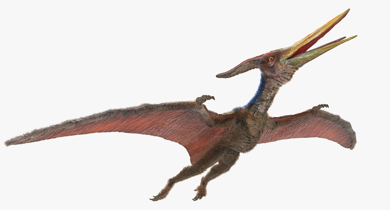 pteranodon 5e