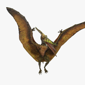 pteranodon carnivore