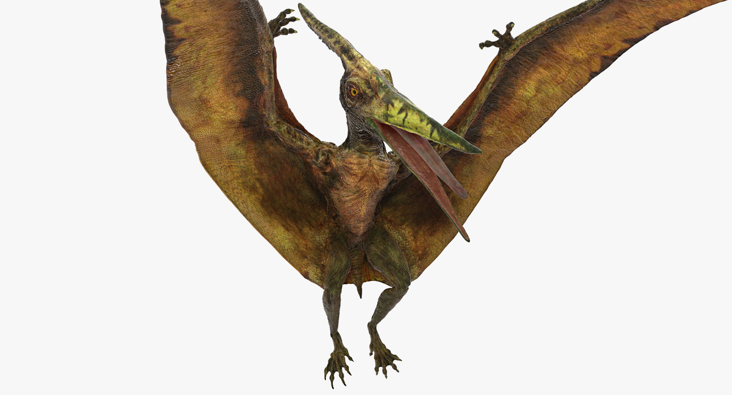 flying pteranodon