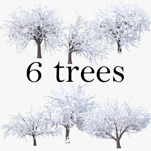 3D model cherry winter pack tree snow