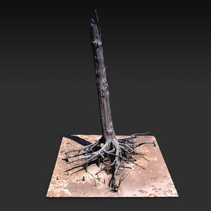 desert tree standing 06 model