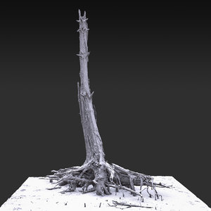 3D desert tree standing 07