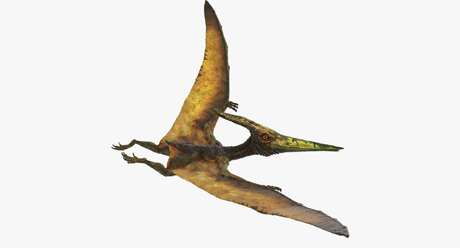 flying pteranodon