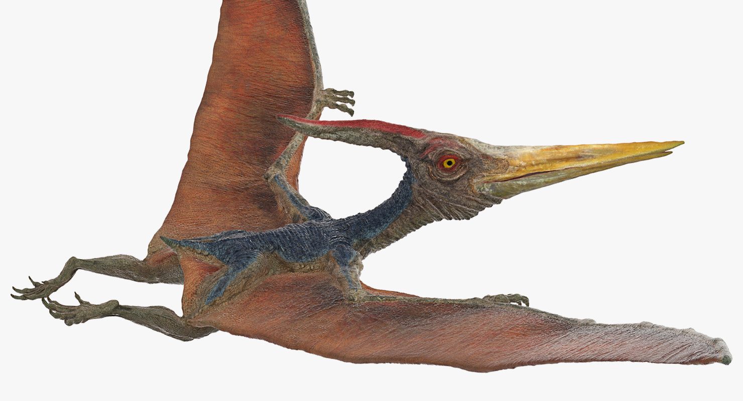 pteranodon flying