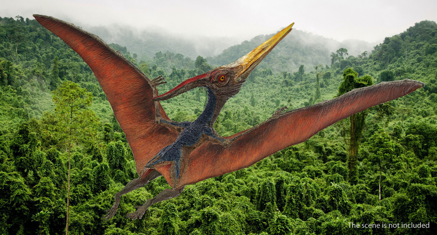 3D pteranodon flying pose model - TurboSquid 1385303